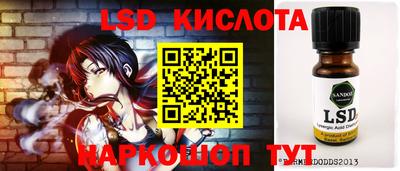 прущие грибы Комсомольск-на-Амуре