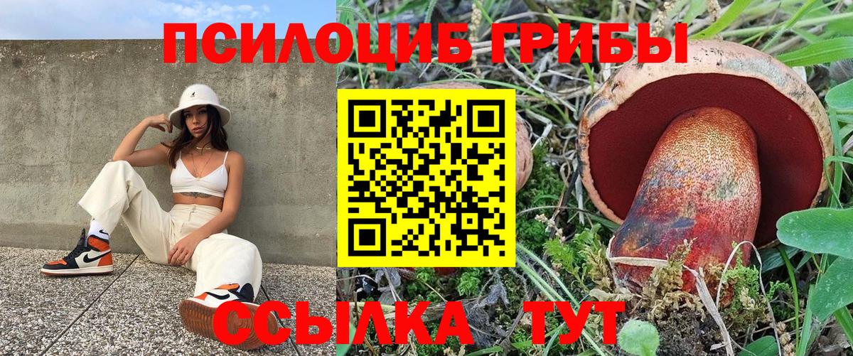 Галлюциногенные грибы Psilocybine cubensis  Вход с VPN  Кемерово 
